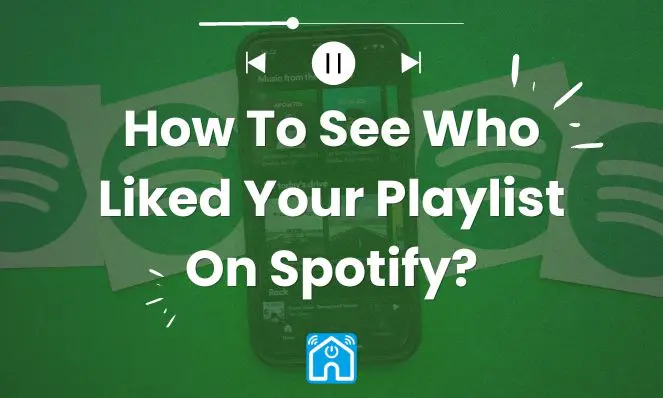 How To See Who Liked Your Playlist On Spotify? (2024 Updated)