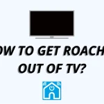 How-To-Get-Roaches-Out-Of-Tv